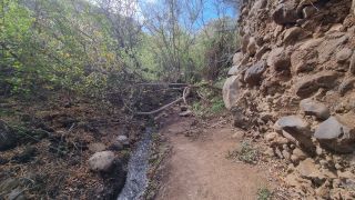 1740763570_2024-01-GranCan-Barranco_de_los_Cernicalos-000.jpg